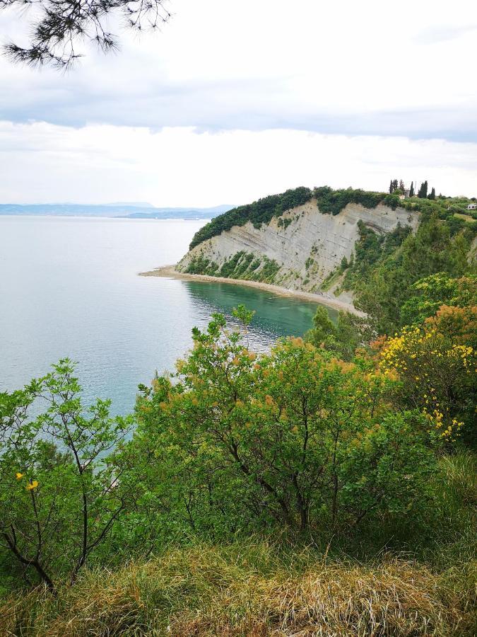 Apartments Zimerman Portorož Zewnętrze zdjęcie